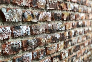 Ladrillo Loft Picasso