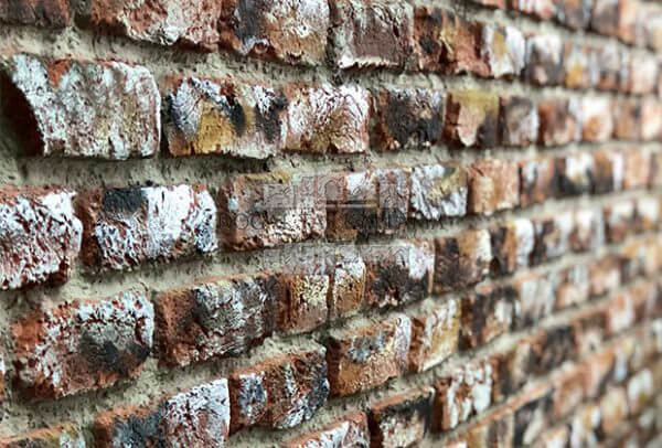 Ladrillo Loft Picasso