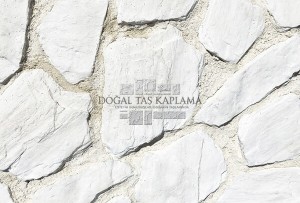Tarla Taşı 8506
